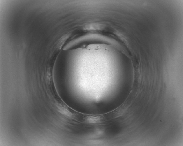 X0000065980085200603031206