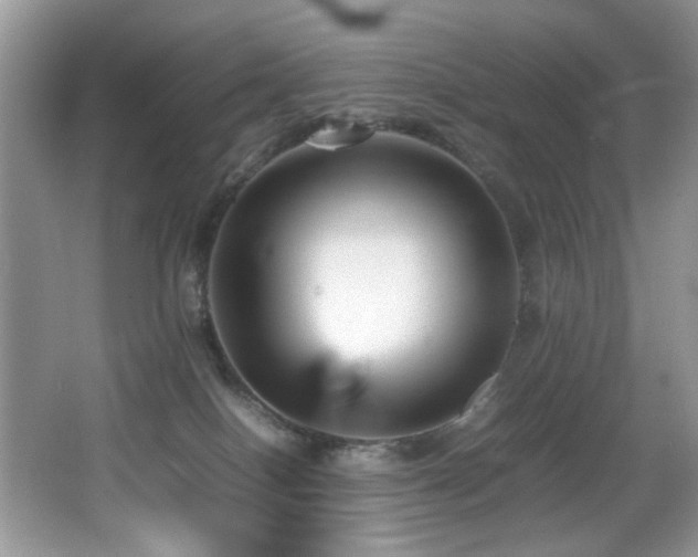 X0000065980086200603031206