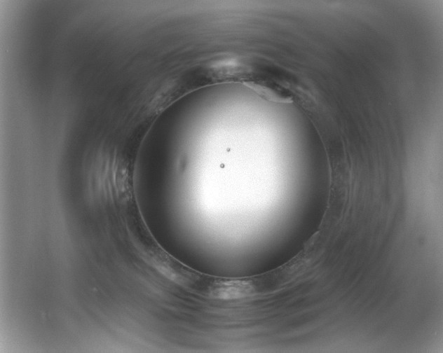 X0000065980087200603031206