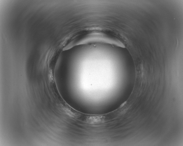 X0000065980089200603031206