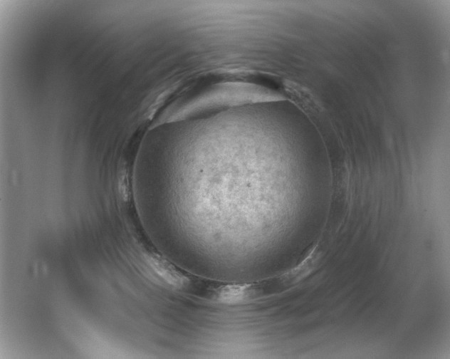 X0000065980090200603031206