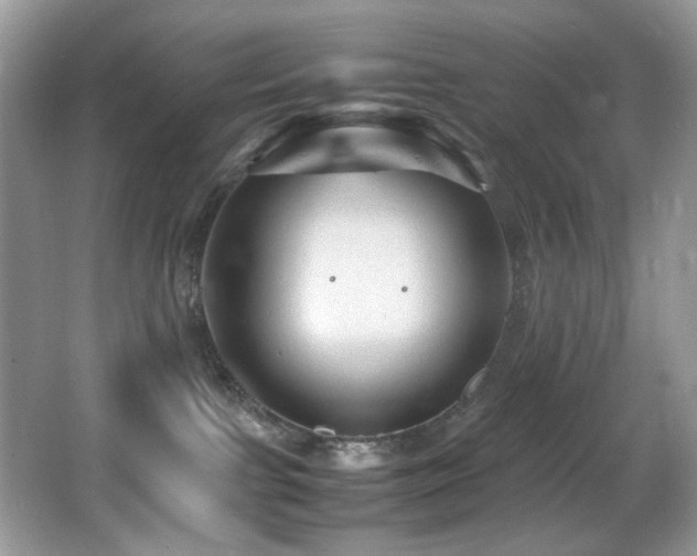 X0000065980091200603031206