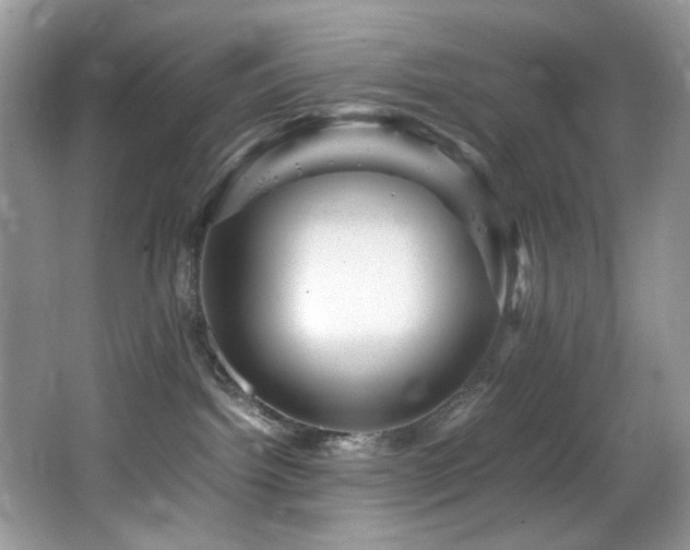 X0000065980092200603031206