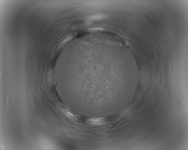 X0000065980093200603031206