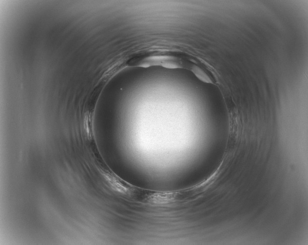 X0000065980094200603031206