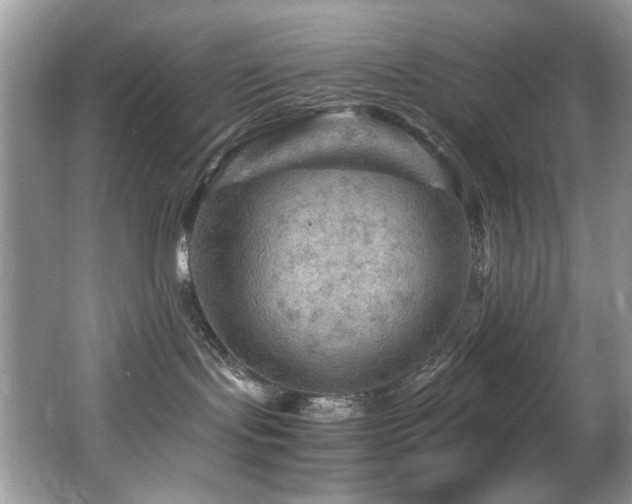 X0000065980095200603031206