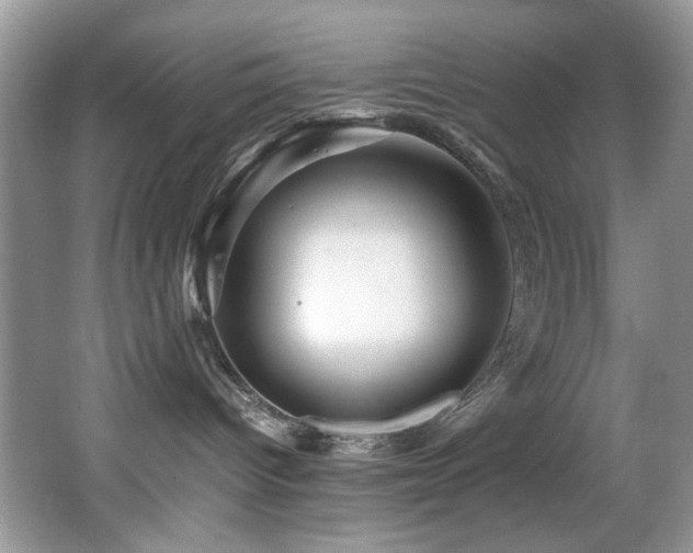 X0000065980096200603031206