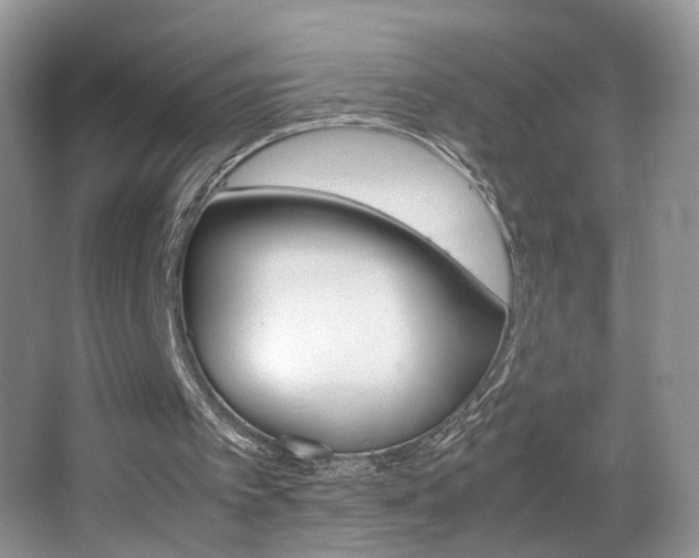 X0000065980097200603031205