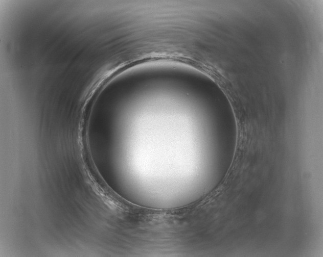 X0000065980098200603031205