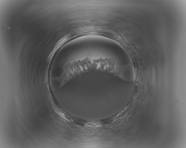 X0000065980099200603031205