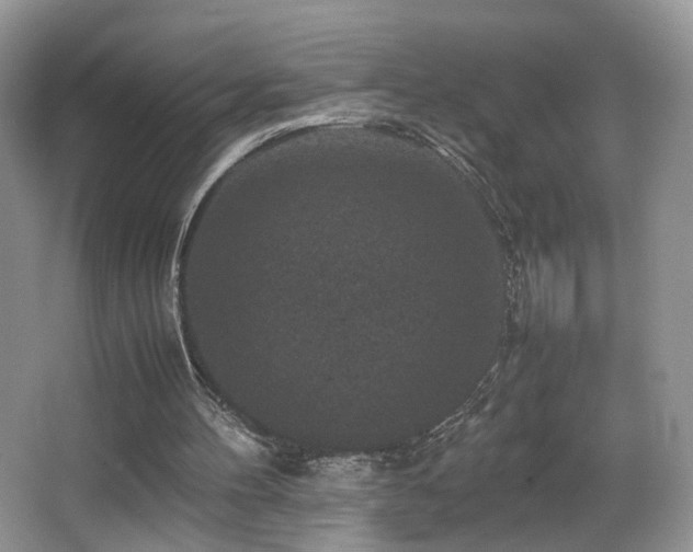 X0000065980100200603031205