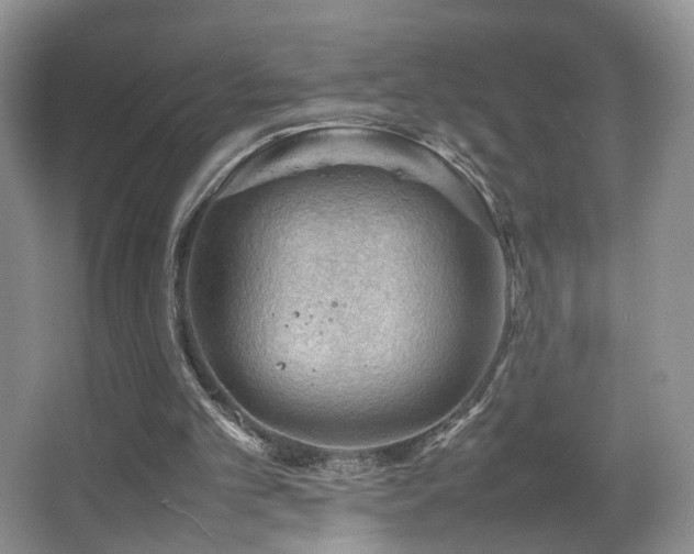 X0000065980101200603031205