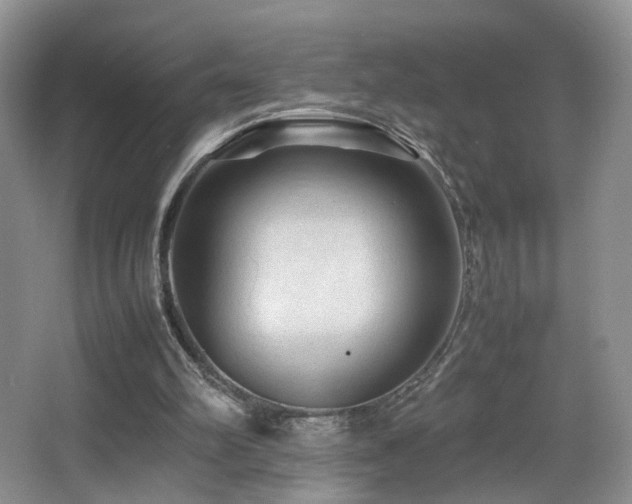 X0000065980102200603031205