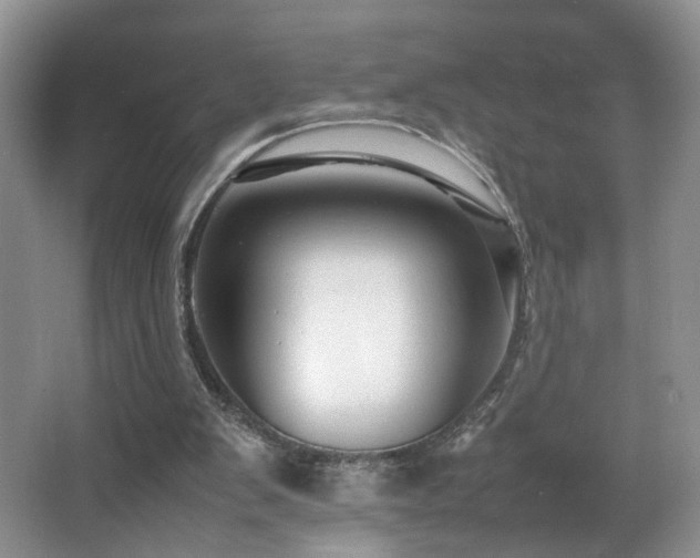 X0000065980103200603031205