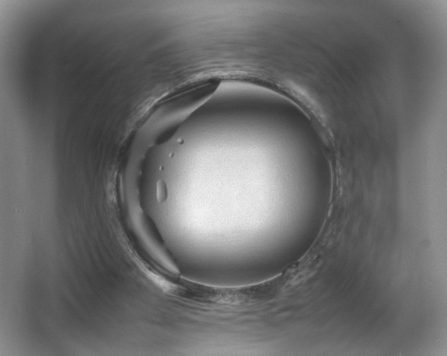 X0000065980105200603031205