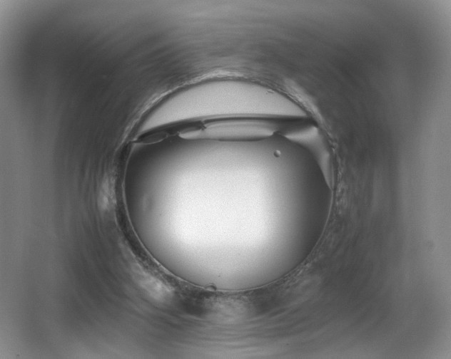 X0000065980106200603031205