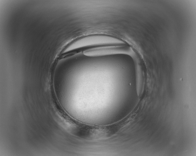 X0000065980107200603031205