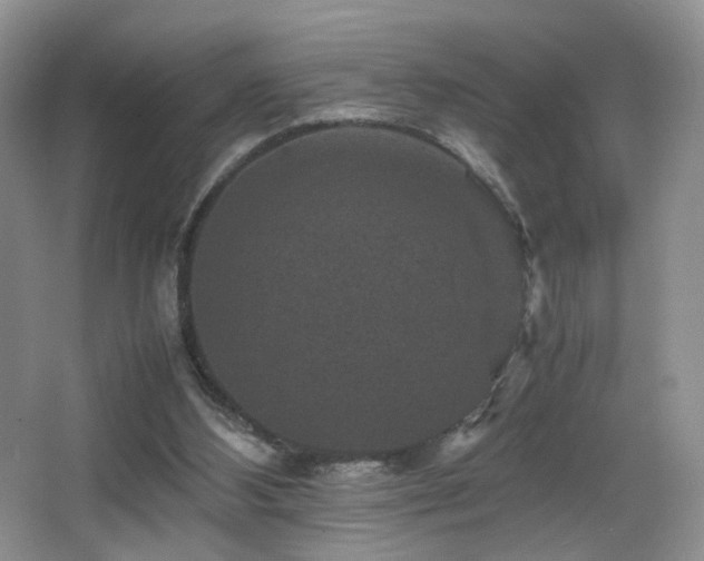 X0000065980108200603031205