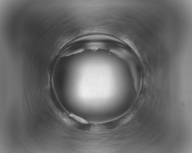 X0000065980109200603031205