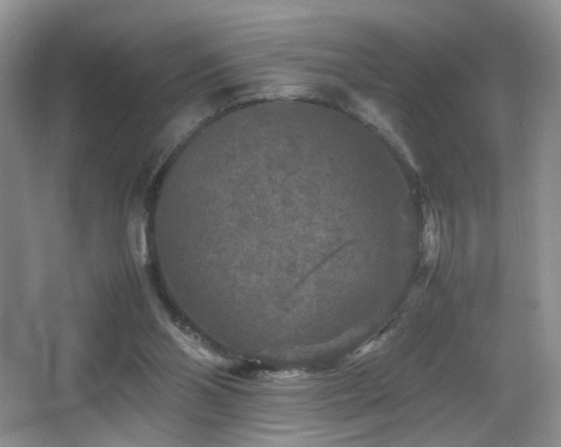 X0000065980110200603031205