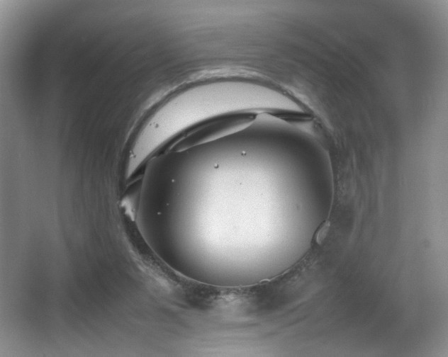 X0000065980111200603031205