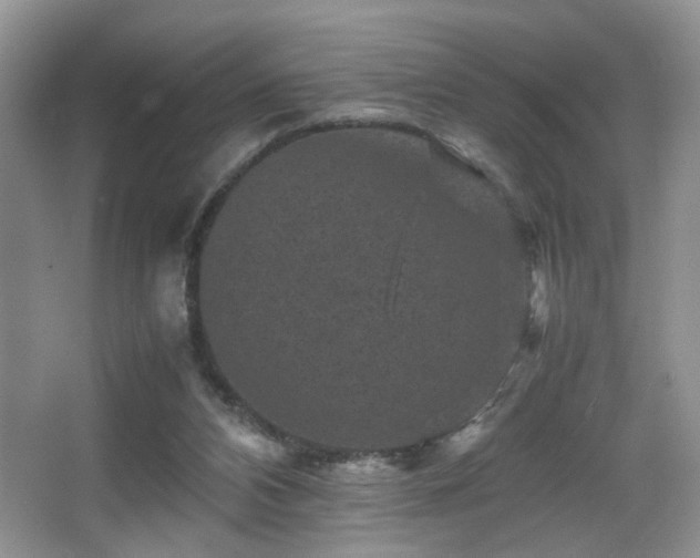 X0000065980112200603031205