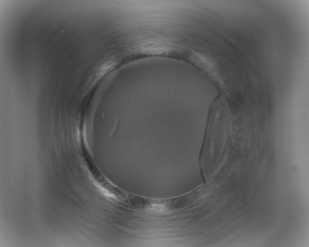 X0000065980114200603031205