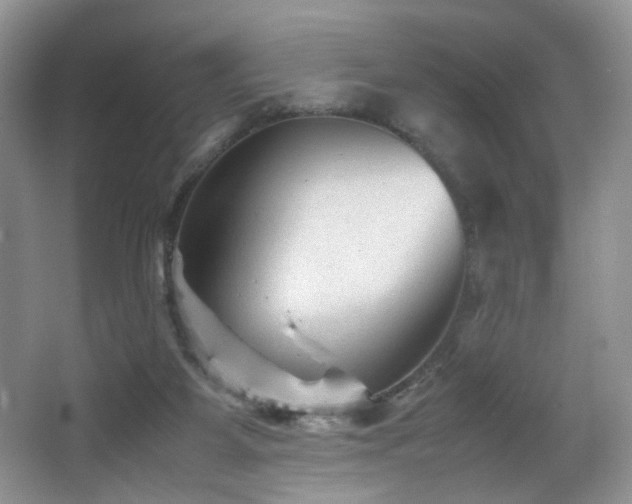 X0000065980115200603031205