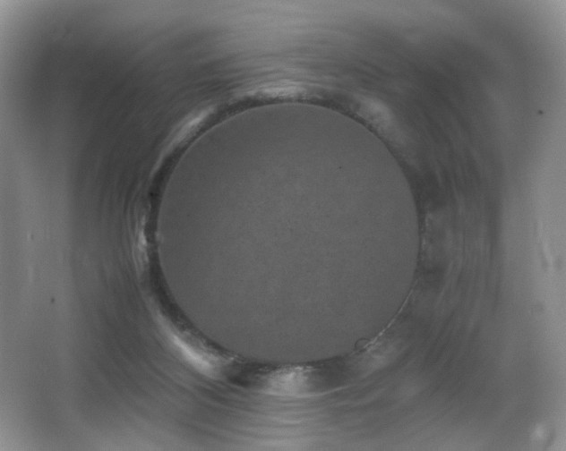 X0000065980116200603031205