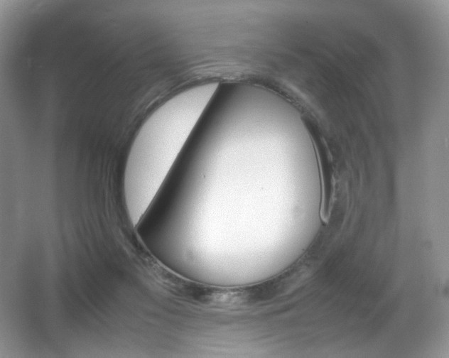 X0000065980117200603031205