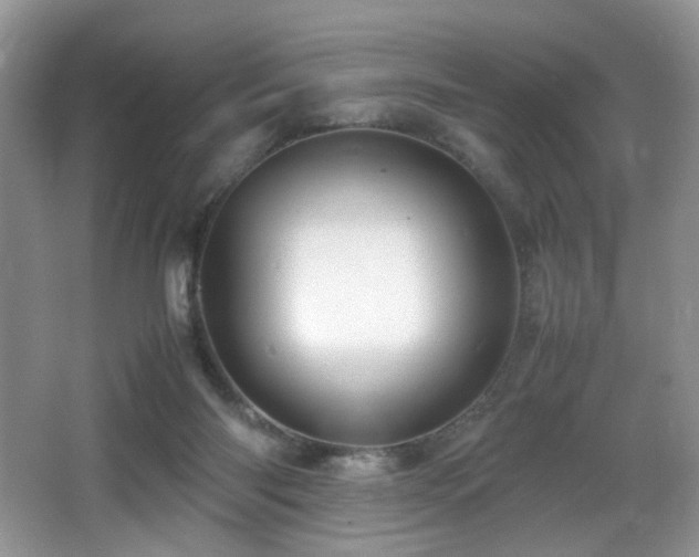 X0000065980118200603031205