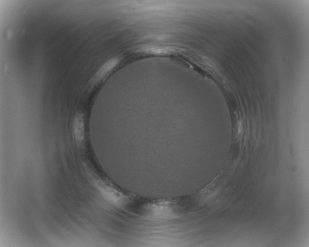 X0000065980120200603031205