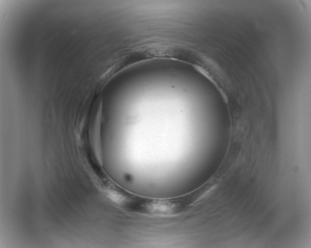 X0000065980121200603031205