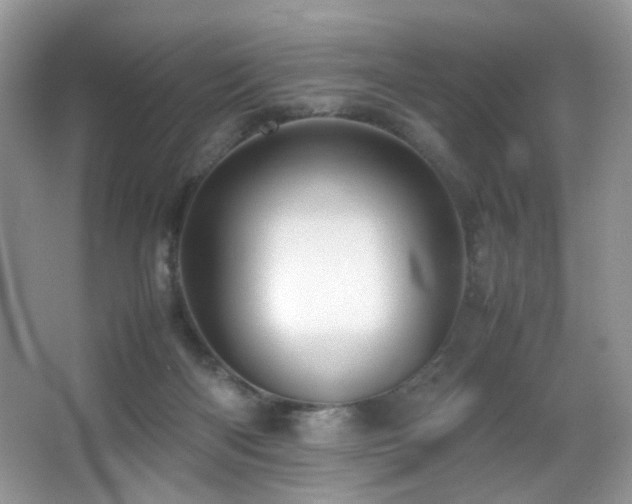 X0000065980122200603031205