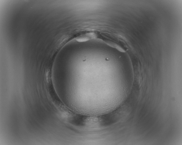 X0000065980123200603031205