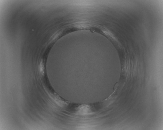 X0000065980124200603031205