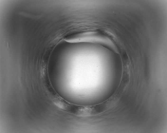 X0000065980125200603031205