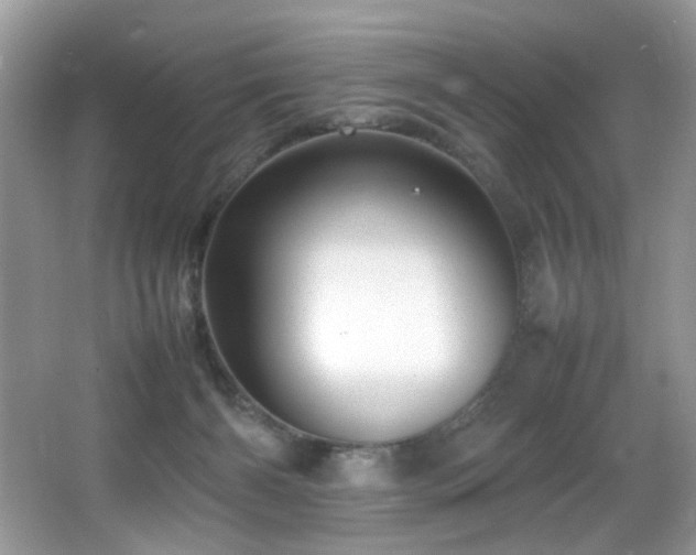 X0000065980126200603031205