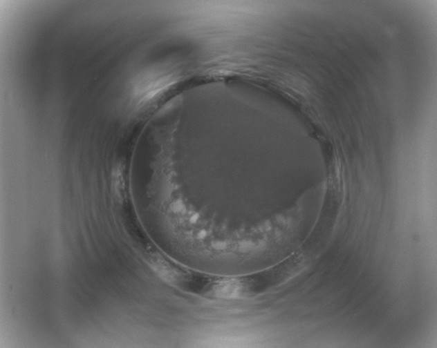 X0000065980127200603031205