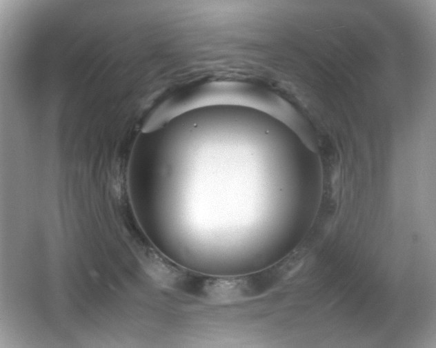 X0000065980129200603031204