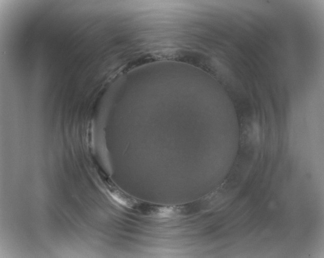 X0000065980130200603031204