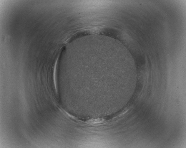 X0000065980131200603031204