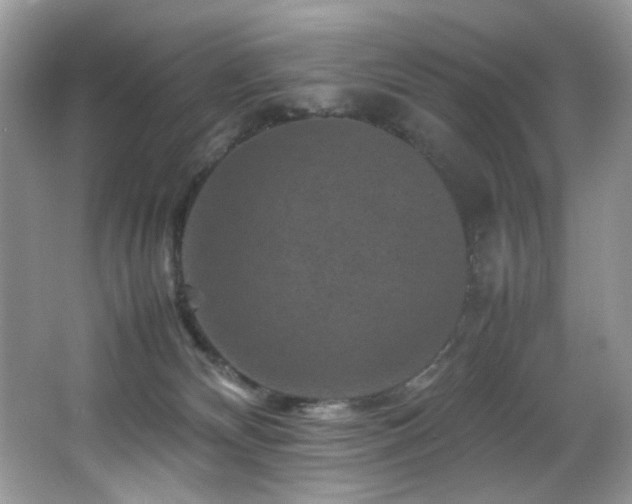 X0000065980132200603031204