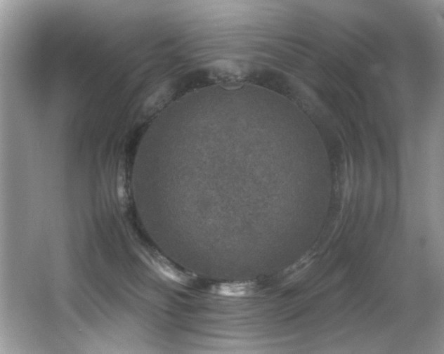 X0000065980134200603031204