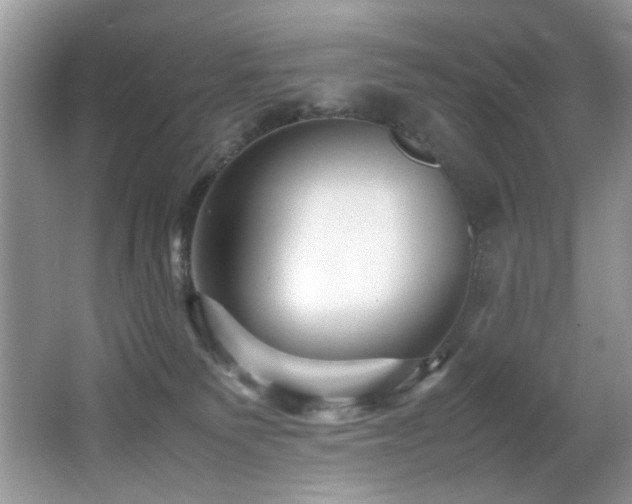 X0000065980135200603031204