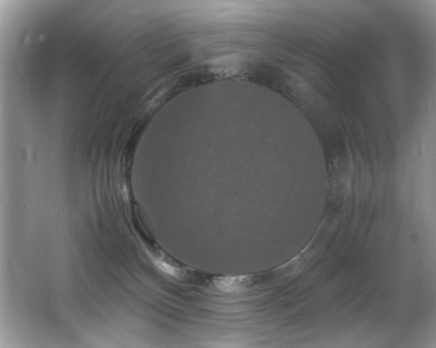 X0000065980136200603031204