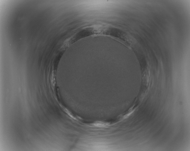 X0000065980137200603031204