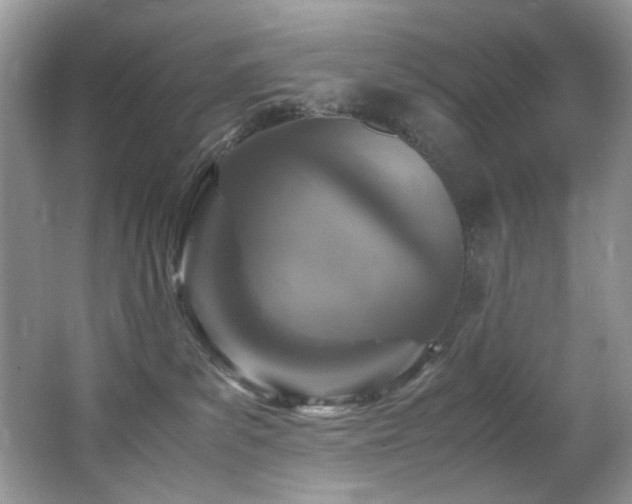 X0000065980139200603031204