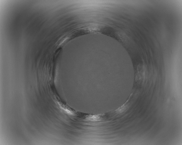 X0000065980140200603031204