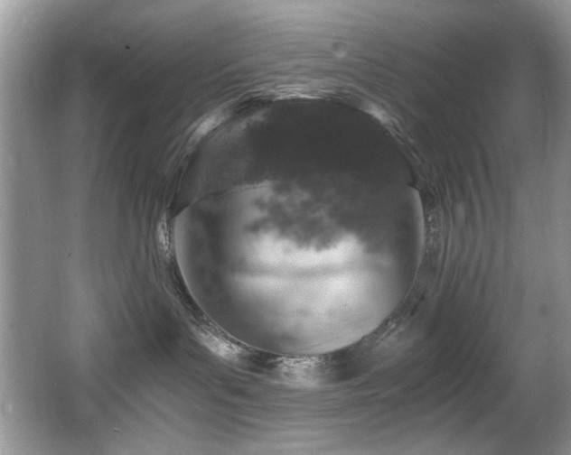 X0000065980143200603031204